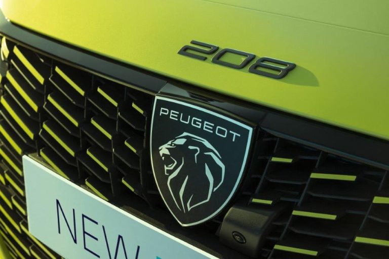 Peugeot e-208 leasen (12)