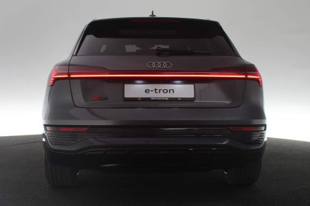 Audi Q8 e-tron (18)