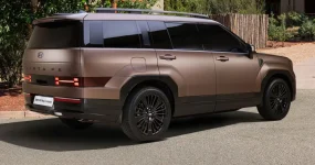 Hyundai Santa Fe leasen (15)