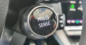 Renault Scenic Leasen (11)