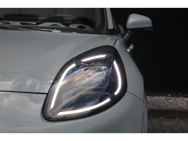 Ford Puma ST Line zakelijk leasen (3)