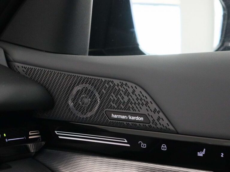 BMW 5-Serie Occasion Lease - close-up van de portierluidspreker met harman/kardon-badge