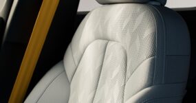 Polestar 2 Zakelijk Leasen (4)