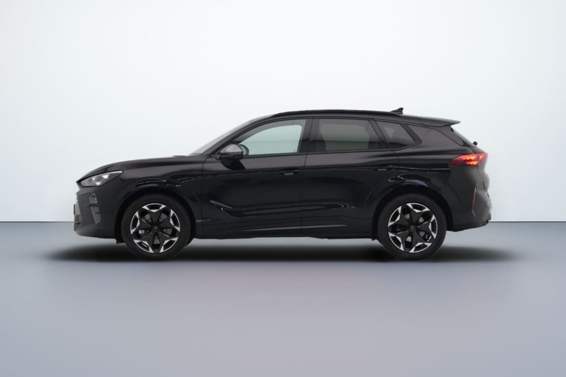 Cupra Terramar Zakelijk Leasen