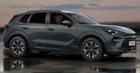 Cupra Terramar Zakelijk Leasen (2)