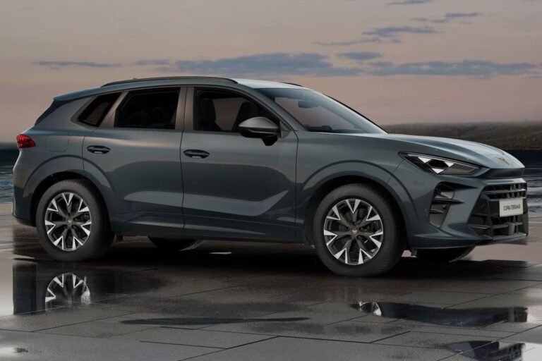 Cupra Terramar Zakelijk Leasen (2)