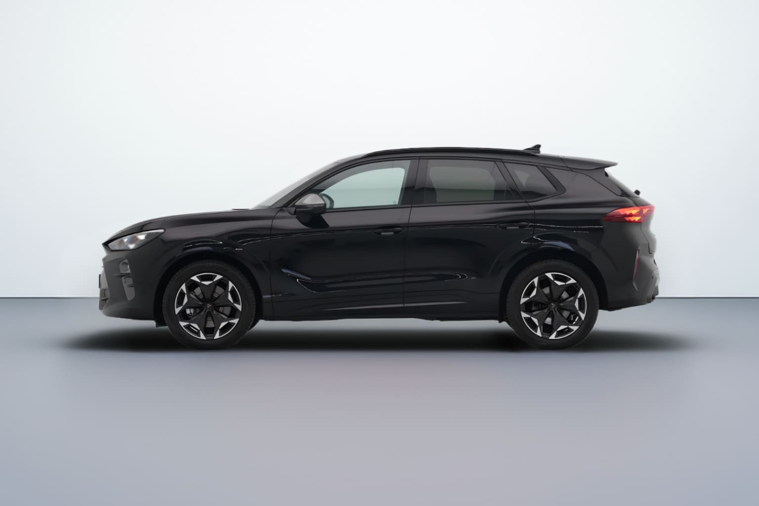 Cupra Terramar Zakelijk Leasen