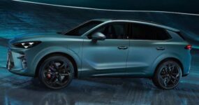 Cupra Terramar Zakelijke Lease (1)