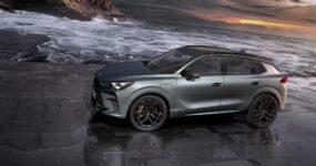 Cupra Terramar Zakelijke Lease (2)