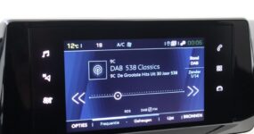 Peugeot e-208 full operational lease (4)