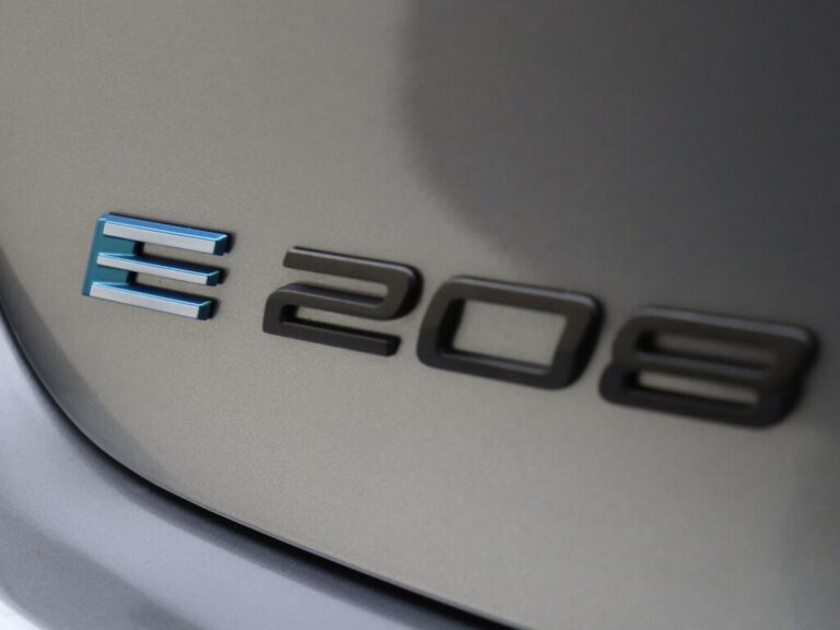 peugeot e-208 lease mkb (5)