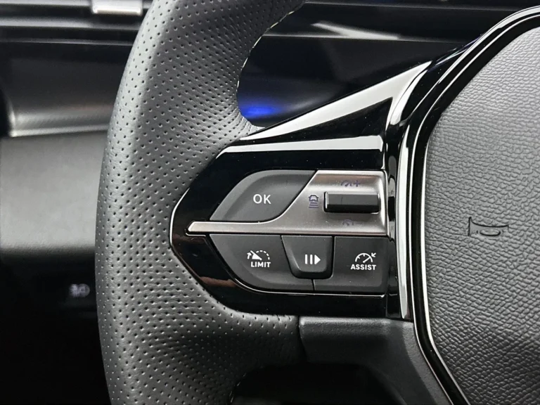 Peugeot e-308 GT Avantage met achteruitrijcamera