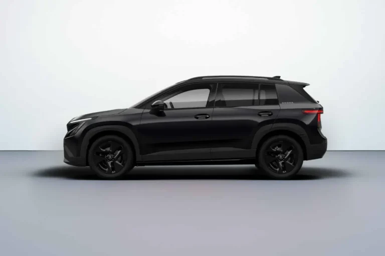 Škoda Epiq Business Launch Edition zakelijk leasen stuurwiel