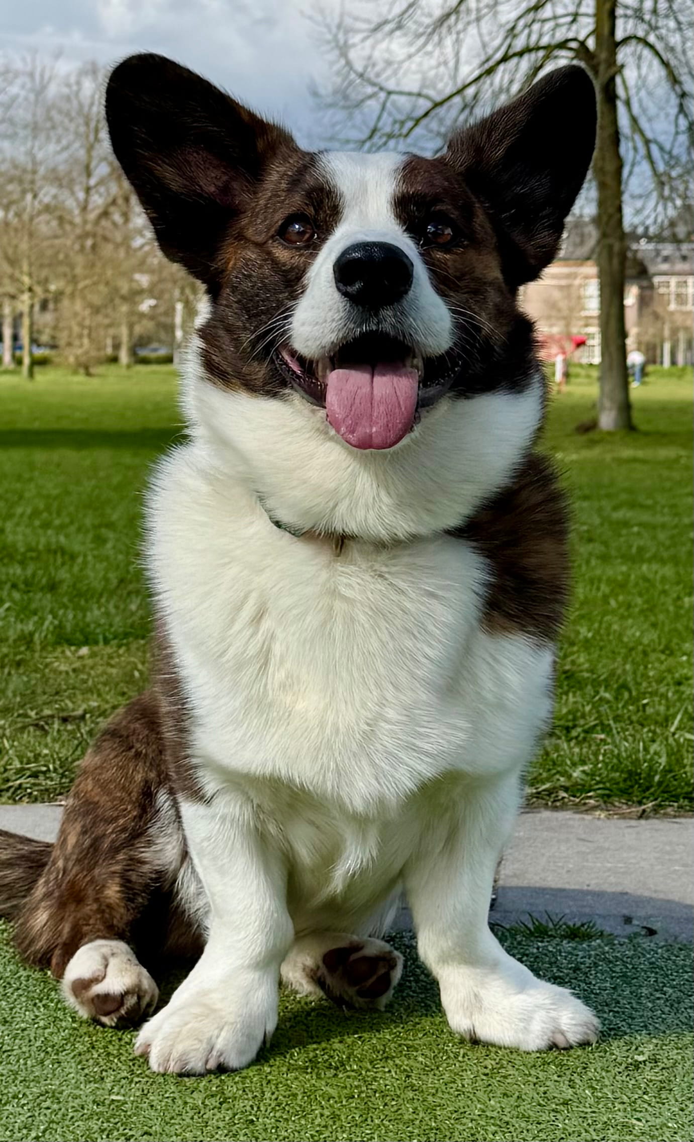 Walter &middot; Office Manager &middot; LeaseRoute