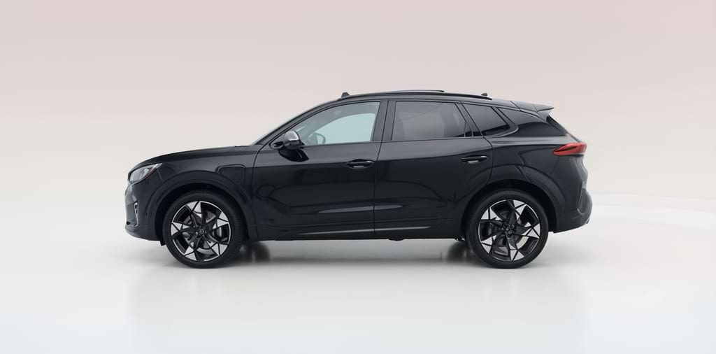 Occasion Lease