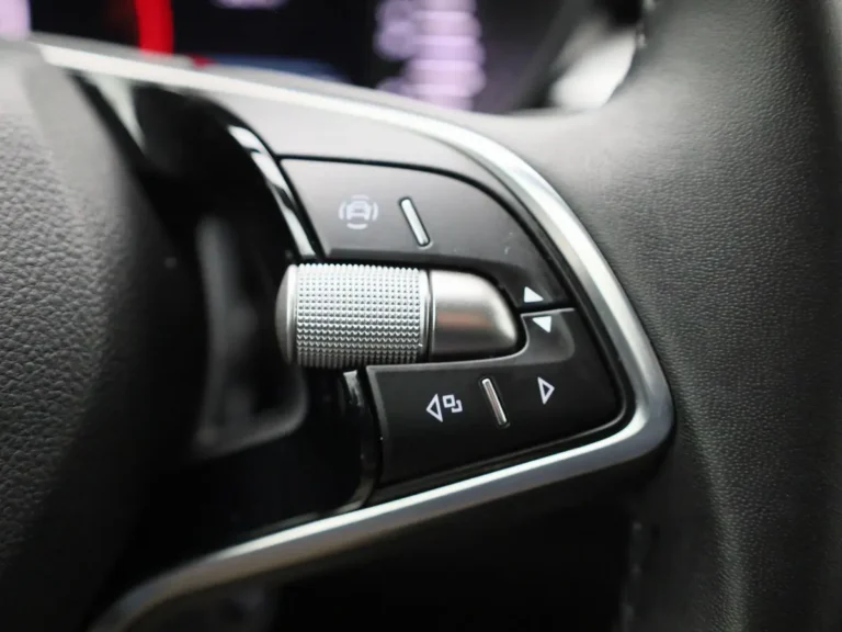 Skoda Fabia Selection, multifunctionele stuurbediening